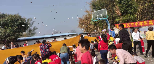 望埠镇文立小学附属幼儿园