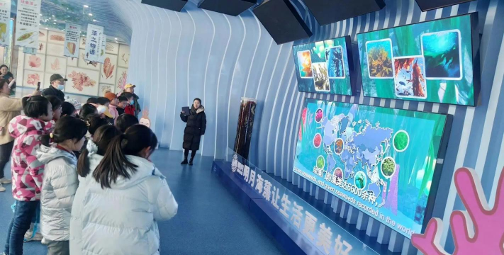 青岛浮山路小学