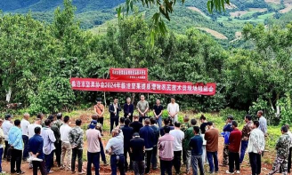 临翔区平村乡中心完小