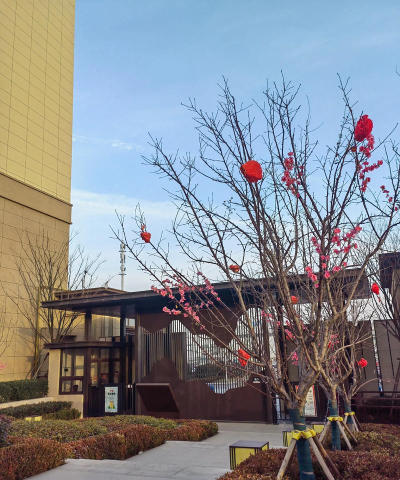 青岛市城阳区红岛街道办事处宿流小学