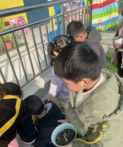 峨山乡薄林村幼儿园