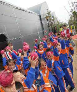 常德市妇联阳光幼儿园