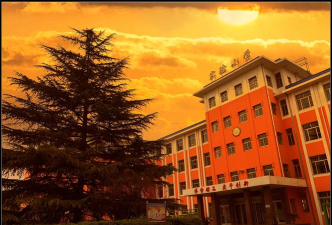 博山区实验小学