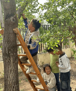 费县芍药山乡楼子峪幼儿园