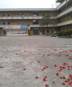 白塔镇塔东中心小学