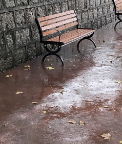 宁国市艺树宁培训学校有限公司