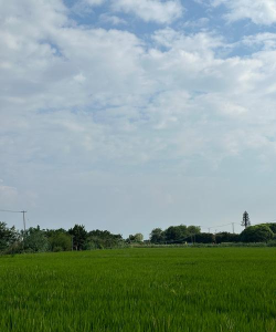 广宁县小风车艺术有限公司