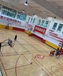 丹棱县睿霆体育培训有限公司