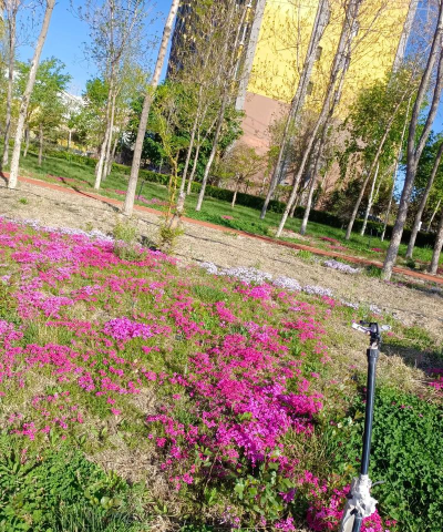 乌鲁木齐市园林局幼儿园