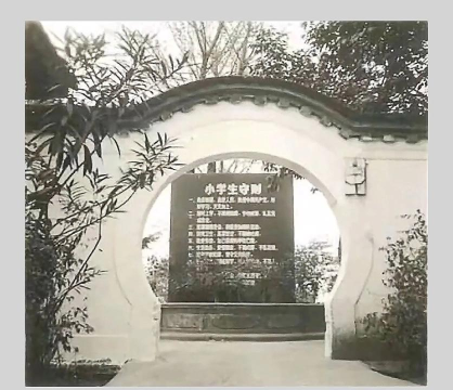 崇阳镇辰居路小学校