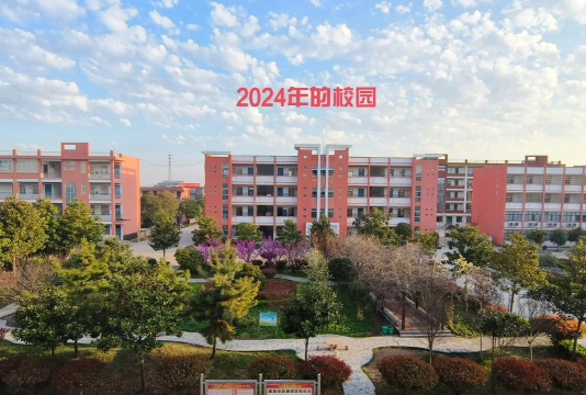太和县高庙中心学校