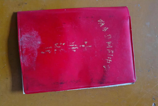 太和县向阳初级中学