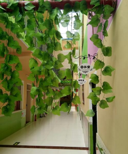 雷州市调风镇明泰幼儿园