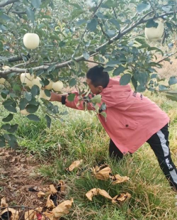 牟平区埠西头小学