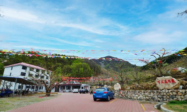 大康镇松花岭村小