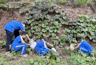 福报农场中心小学