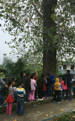 旺苍县枣林乡中心小学校