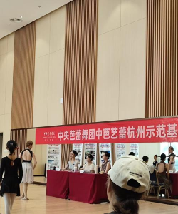 四川省高新区桃乐丝芭蕾舞蹈艺术培训学校有限责任公司