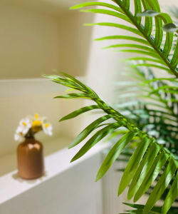 深圳市光明区星晴晴天汇城教育培训中心有限公司