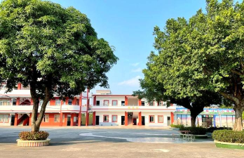 佛山市顺德区杏坛镇新联小学