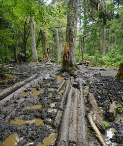 德钦县云岭乡中心完小