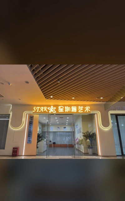 河源市高新区星期舞艺术教育培训有限公司
