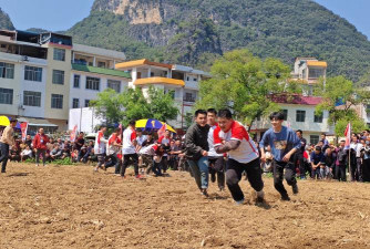 百色市田阳区才学文化艺术培训有限公司