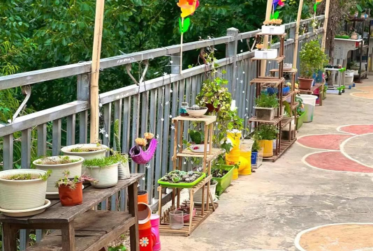 富林镇麦地小学