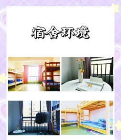 成都市武侯区大艺庚合文化艺术培训学校有限公司