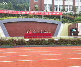 南江县沙河镇小学