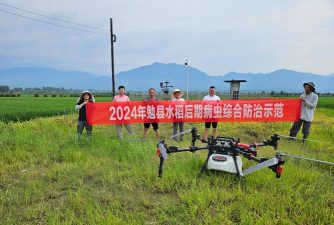 定军山镇杨家山中学