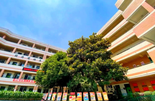 成华实验小学北校区