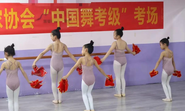 万年县星禾艺术培训中心有限公司