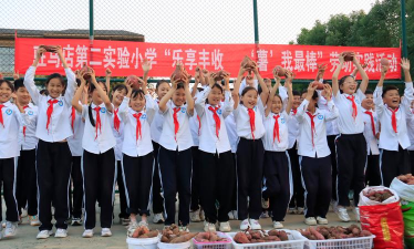 长道镇丰收小学