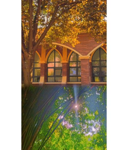 毕节地区幼师信息工程学校