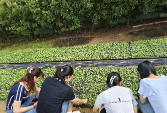 即墨市移风店镇大坝村幼儿村