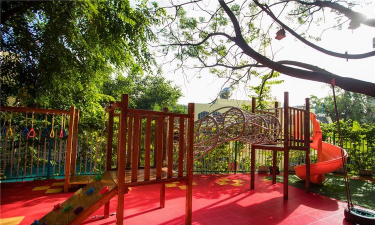 江门市蓬江区森林幼儿园有限公司