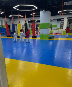 宁波杭州湾新区晶鸿跆拳道培训有限公司