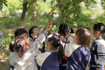 登封市卢店镇幼儿园