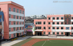 大东区杏坛小学