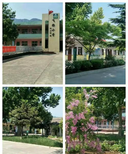 康村小学