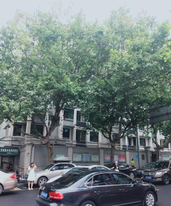 镇江市市级机关第一幼儿园