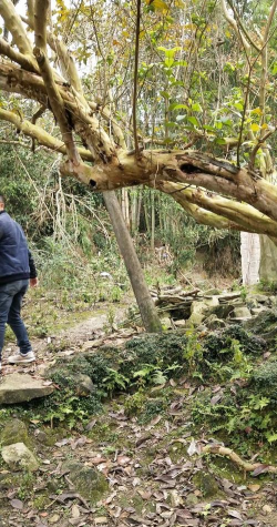 德庆县莫村镇车牛教学点