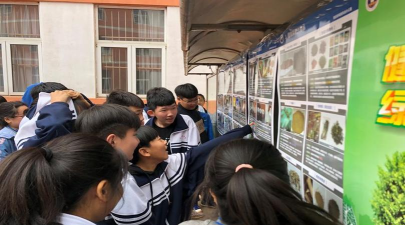 武清区河西务镇羊坊中心小学