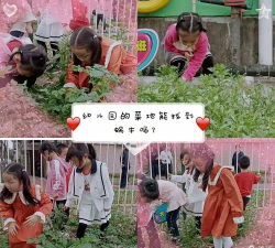 宁波市海曙区心爱心幼儿园