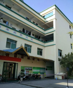 瑞丽市国际珠宝翡翠学校