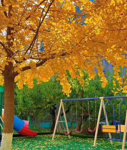 大连府佳名都红叶幼儿园