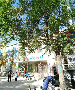 北京市昌平区东小口镇中心幼儿园