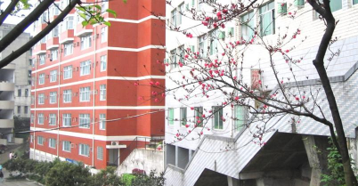 重庆微电子工业学校