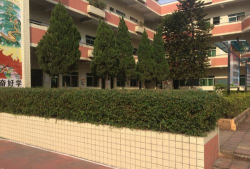 东莞石排铭科小学